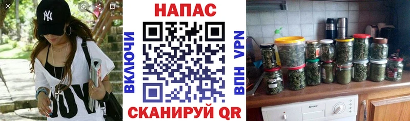 Бошки Шишки Amnesia  как найти   Черноголовка 